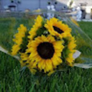 Meet your Posher, Jenny